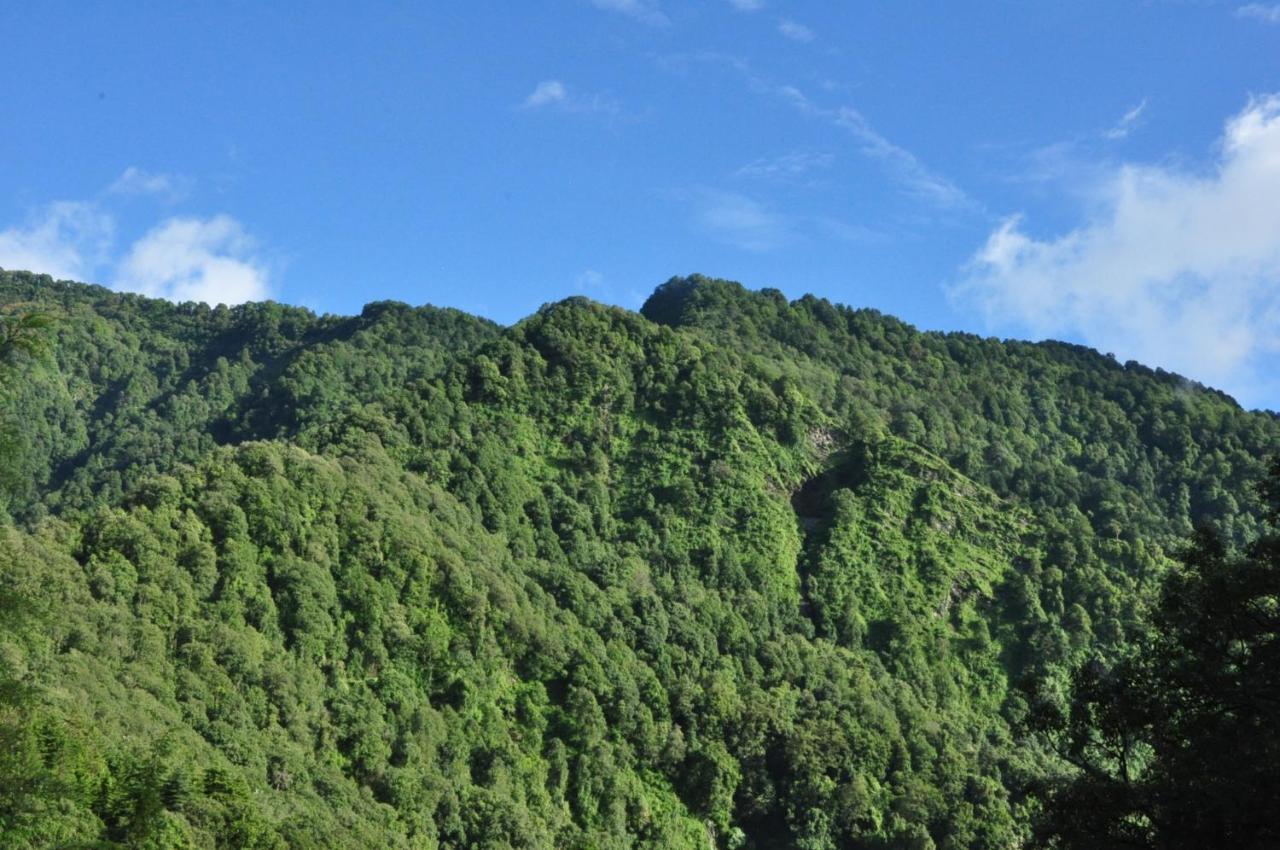 Woodside Retreat * Nainital